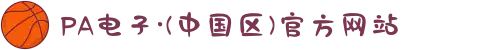 PA电子·(中国区)官方网站